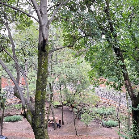 墨西哥城Mi Refugio San Angel别墅 外观 照片