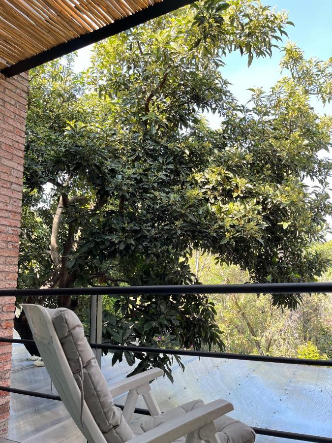 墨西哥城Mi Refugio San Angel别墅 外观 照片