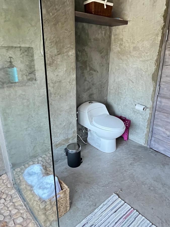 墨西哥城Mi Refugio San Angel别墅 外观 照片