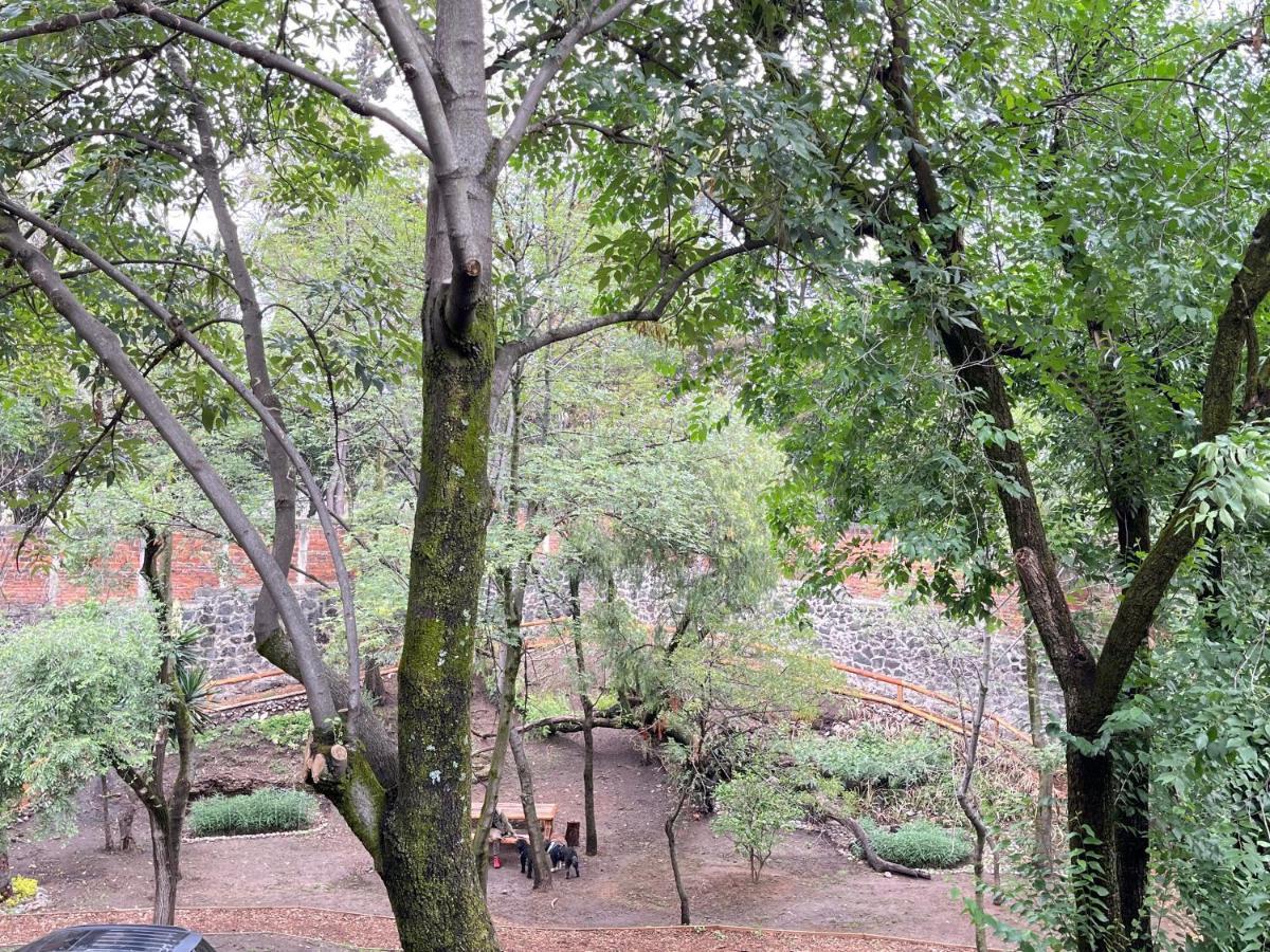 墨西哥城Mi Refugio San Angel别墅 外观 照片