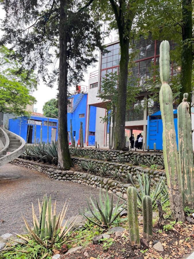 墨西哥城Mi Refugio San Angel别墅 外观 照片