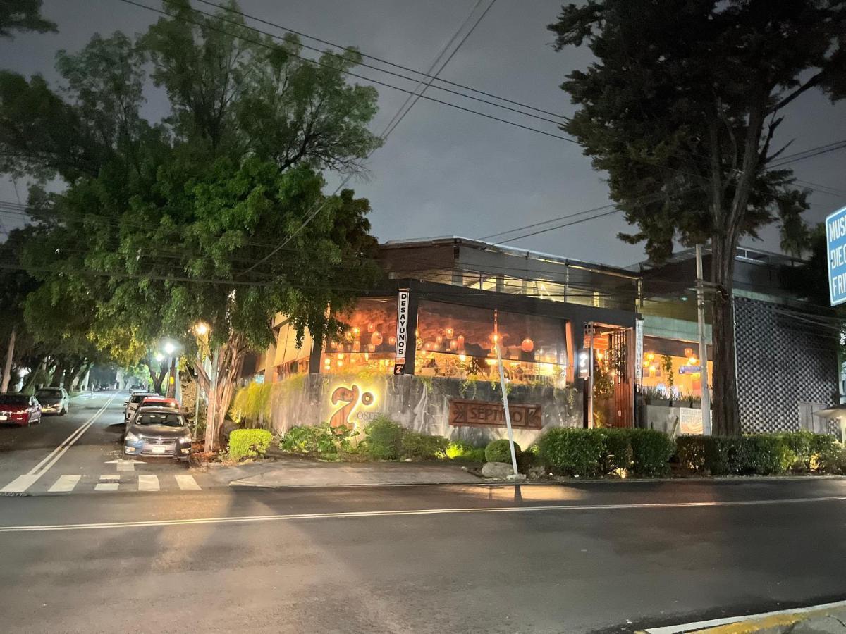 墨西哥城Mi Refugio San Angel别墅 外观 照片
