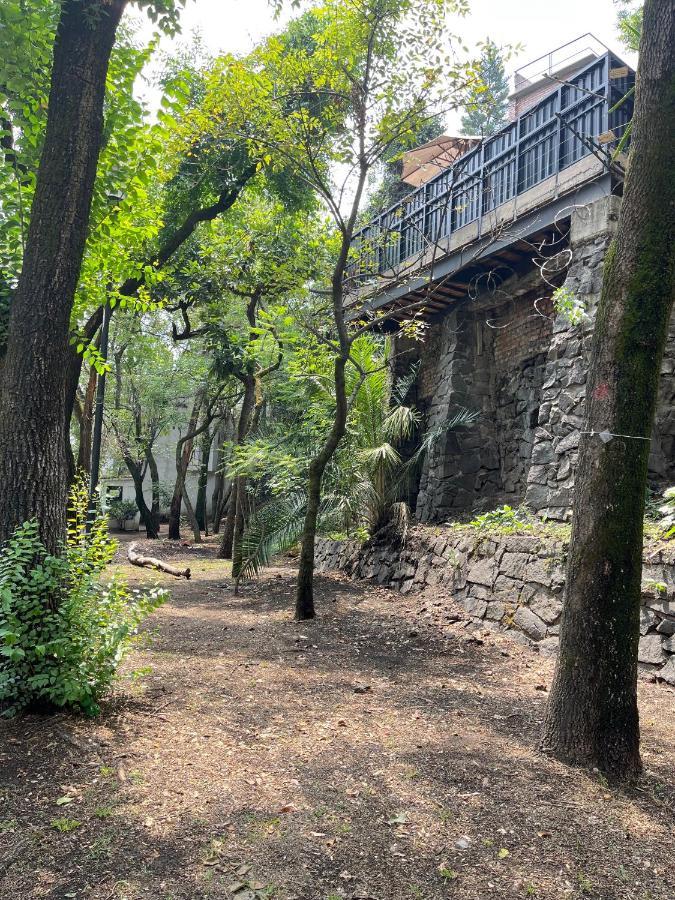 墨西哥城Mi Refugio San Angel别墅 外观 照片